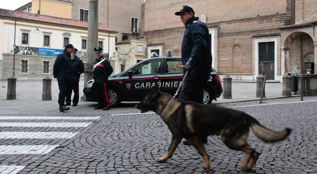 Troppi furti e risse nei locali, i baristi chiedono aiuto ai carabinieri