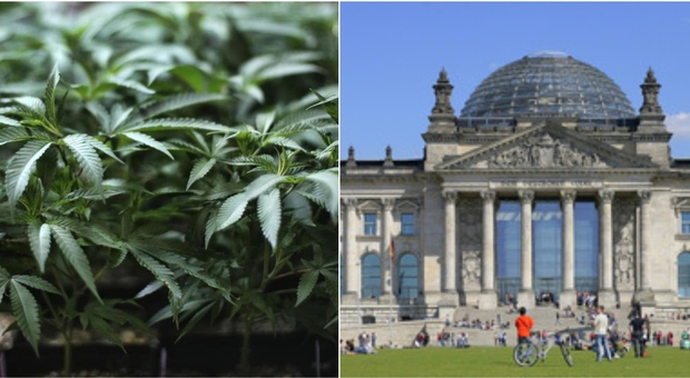 Germania, la cannabis diventa legale: arriva l'approvazione del Parlamento. Ecco le limitazioni