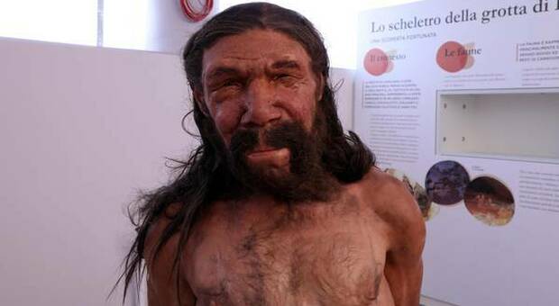 Un individuo adulto, con qualche problema di salute: dopo 150mila anni, nuova luce sull'Uomo di Altamura