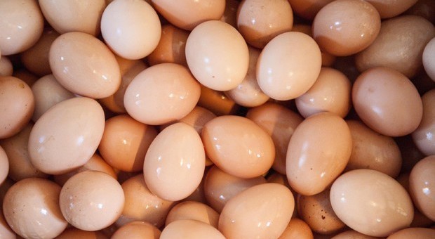 L'immagine di un uovo è la foto più apprezzata su Instagram, anche se è lesionato