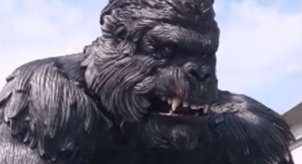King Kong gigante da un milione di euro dal Veneto alla Tunisia: «Lì ci pagano»