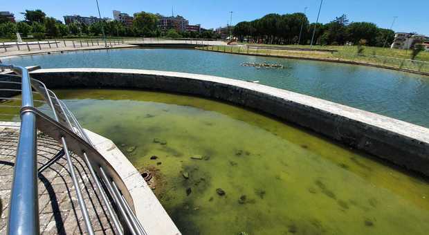 Parco San Marco, torna il degrado: rifiuti ovunque e laghetto senza più ricambio d’acqua