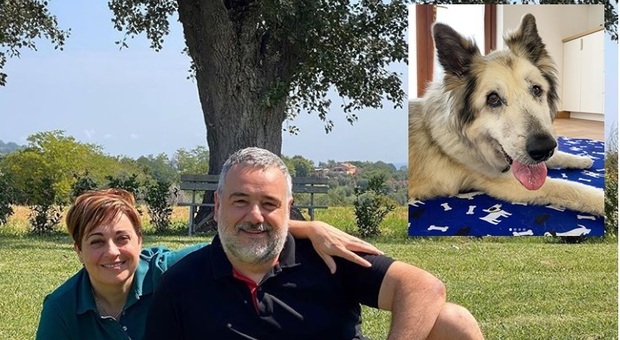Benedetta Rossi, il marito Marco si commuove al ricordo del cane scomparso: «Il buongiorno senza Nuvola è più triste»