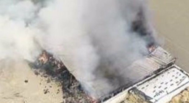 Terra dei fuochi, in fiamme un'azienda bufalina ad Acerra: la pista del racket