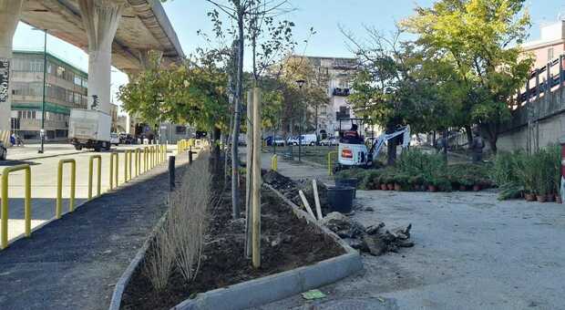 Napoli Est, alberi e giostrine in via De Roberto: i privati recuperano l'area verde degradata