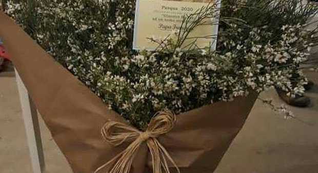 fiori donati al papa
