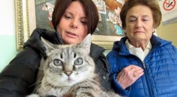 Molly, la gatta di 27 anni con la proprietaria Paola Volpato