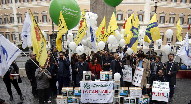 Manifestazione dei radicali a favore della legalizzazione della cannabis