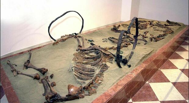 La tomba della biga esposta al Museo nazionale archeologico di Adria