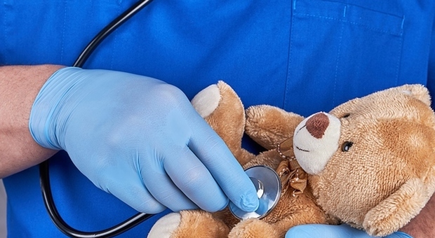 Orsacchiotti-giocattolo “curati” dai medici dell'ospedale di Bolzano