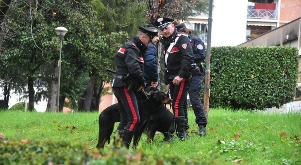 Due rottweiler in fuga da una villa a Terni: donna scappa e si salva, sbranato un gatto. Bloccati dai carabinieri