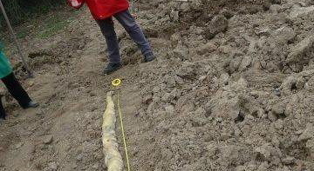 Pitone giallo di tre metri e mezzo trovato morto in un campo: viveva nel torrente