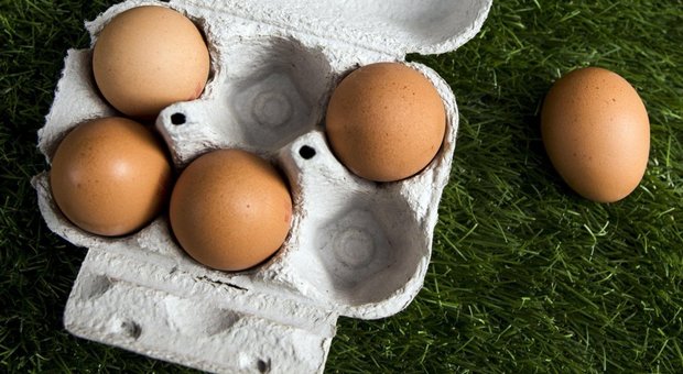 Uova e colesterolo, per nuovo studio meglio mangiarne poche: si riapre il dibattito