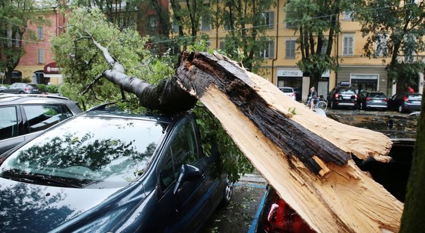Downburst, lo strano fenomeno meteo colpisce Modena: terrore e 15 feriti