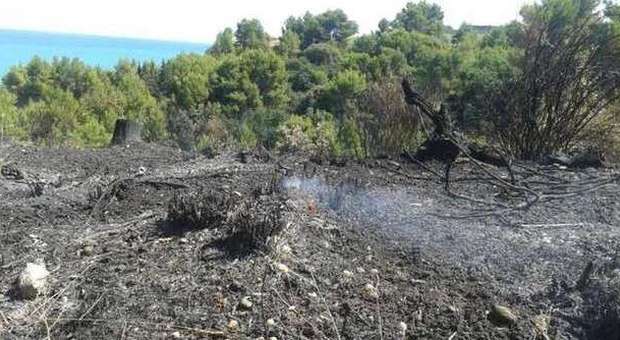 Una parte dell'area del monte Serrone devastata dalle fiamme