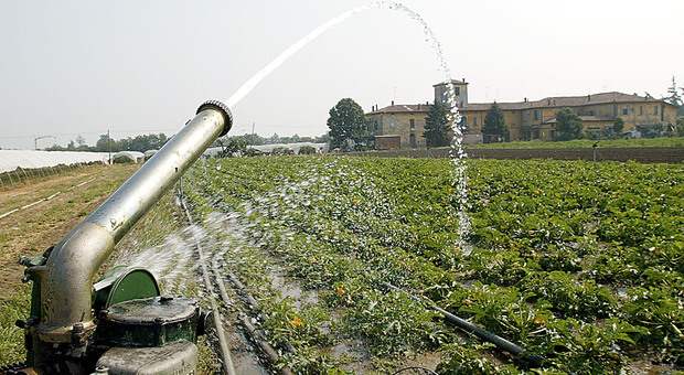 Irrigazione campi ad orari a Padova, il sindaco ha firmato l'ordinanza per limitarne l'utilizzo