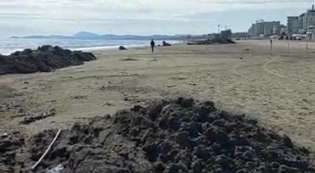Senigallia, la spiaggia ancora piena di detriti: «La stagione è iniziata, vergogna»
