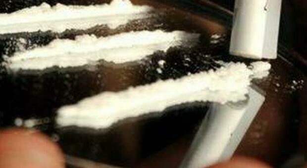 Droga ad Avellino, fermato narcos con carico di cocaina da 400mila euro
