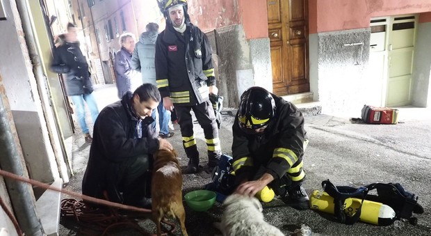 I cani di Roger soccorsi dai vigili del fuoco (foto Giugliarelli)