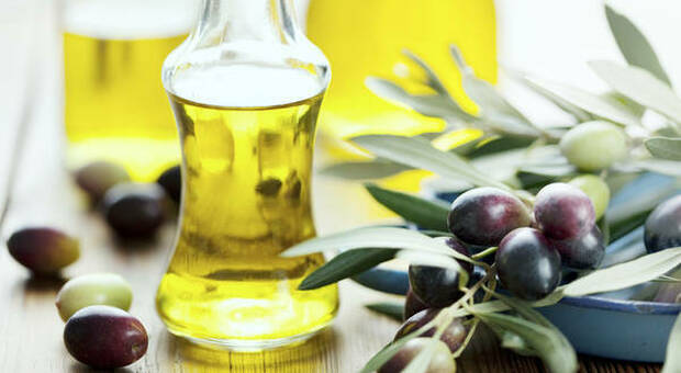 Oggi mercoledì 27 ottobre Barbanera consiglia: «Liscio come l'olio». Il tempo delle olive e dell'olio nuovo