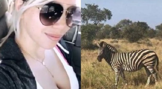 Wanda e Icardi al safari: lei posta una zebra e i tifosi si scatenano il tam tam Juve