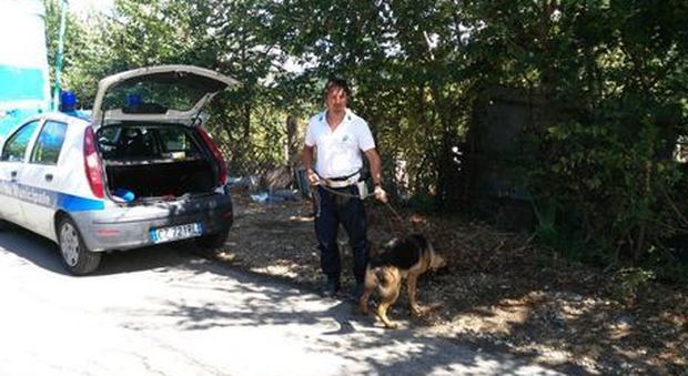 Vigili in borghese contro le deiezioni canine: «Punire i trasgressori»