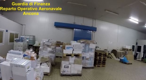 Ancona, il pesce congelato era scaduto 17 tonnellate sequestrate dalla Finanza