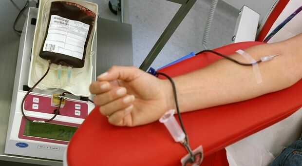 Emergenza sangue in vista dell'estate: servono donatori