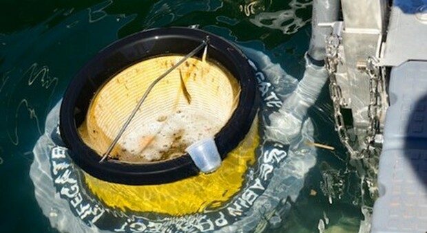 Marina di Pisa, arriva il Seabin per pulire le acque: ecco il cestino cattura plastica