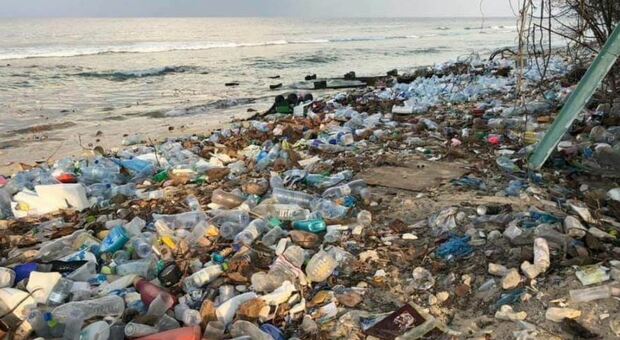 Arlena, arriva l'impianto che ricicla i rifiuti del mare. Al Comune 15 milioni e un nuovo asilo
