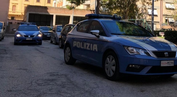 Ancona, il commerciante di cannabis light ha in casa piante di marijuana "vera": arrestato