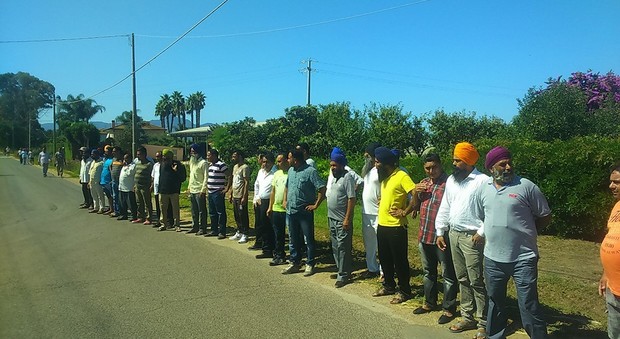 Sabaudia: presidio di indiani davanti ad un'azienda agricola contro licenziamenti illegittimi