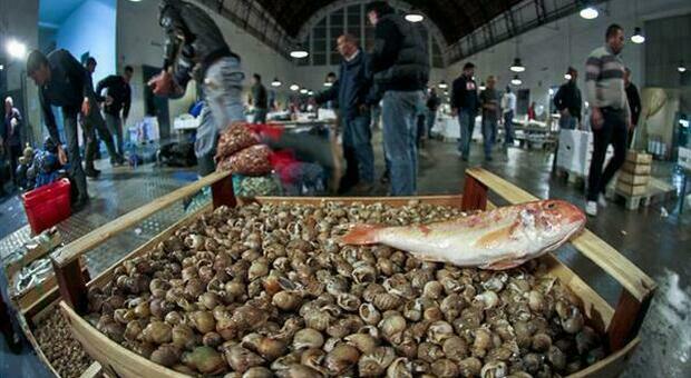 Pozzuoli, la «guerra» dei tesserini Minacce al mercato ittico