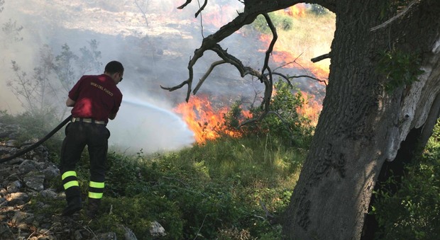 Muore mentre i pompieri spengono l'incendio nella sua campagna
