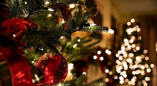 Oggi sabato 25 dicembre Barbanera consiglia: Buon Natale!