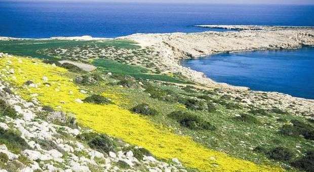 Cipro che vai spiaggia che trovi. E i prezzi sono ok