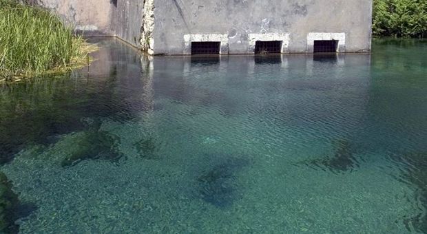 Albero cade sulla linea elettrica e manda in tilt la sorgente Capodacqua: disagi in molte zone di Formia
