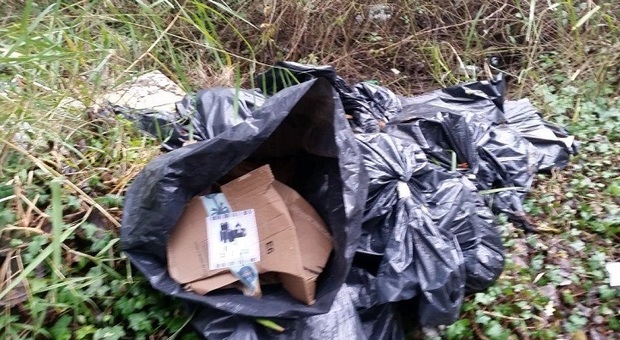 POLLENA TROCCHIA. Sversamento abusivo di rifiuti speciali nel Parco del Vesuvio. Scoperto e denunciato abuso edilizio