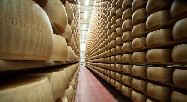 Dazi Usa sui prodotti italiani dal 18 ottobre: Parmigiano, vino, moto e abiti. La lista completa