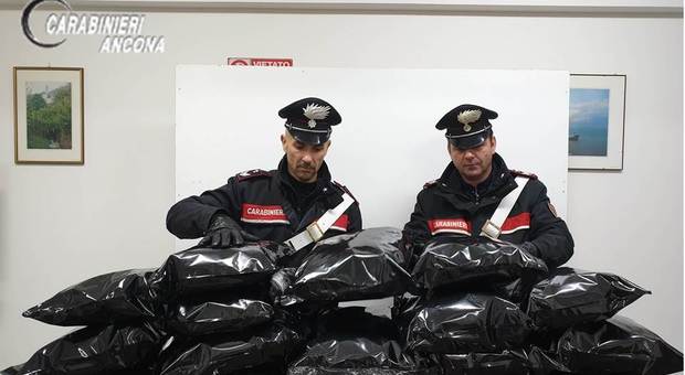 Osimo, droga per mezzo milione l'anno comprata tramite i social: tre arrestati