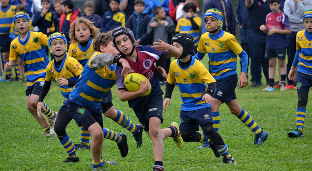 Rugby, trofeo “Peppe Brucato”: in mille in meta dai 5 ai 12 anni, a Carpi il premio della migliore tifoseria Foto