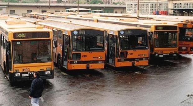 Un parco autobus d'annata del trasporto pubblico locale