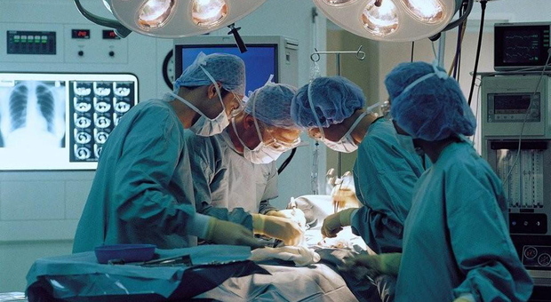 Trapianti, maratona chirurgica a Padova: 7 organi in 7 pazienti
