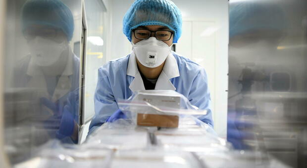 Nuovo virus scoperto dai ricercatori di Wuhan (la culla del Covid): di origine animale, infetta anche gli umani