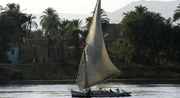 In Egitto, un tour di qualche ora o di più giorni tra storia e natura