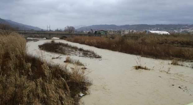 Coldiretti: «Febbraio caldo nelle Marche Rischio alluvioni e danni alle colture»