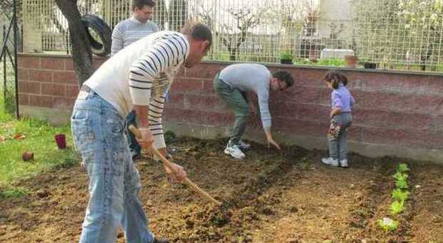 Papà e bimbi insieme a piantare semi nell'orto