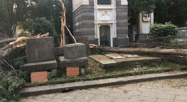 Napoli, chiude cimitero Poggioreale: «Alberi crollati ovunque, è rischioso»