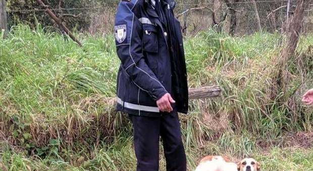 Rieti, cane salvato dalla Polizia locale