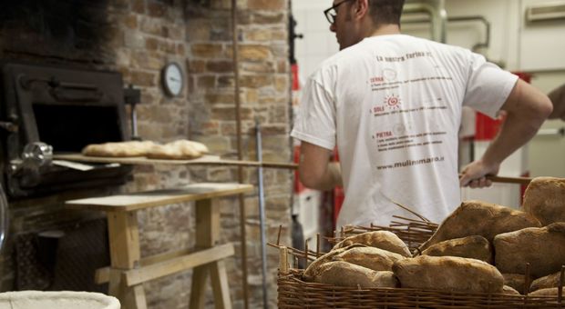 Pane in Italia: 41 kg l'anno a testa, il più consumato è quello di farina bianca